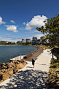澳大利亚杰克埃文斯船港滨水景观改造设计简介 - 滨水空间 - 最景观 - 让设计更简单!