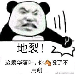 落叶凌风采集到表情包