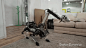 波士顿动力学工程公司（Boston Dynamics）专门为美国军队研究设计的大狗机器人（Bigdog）