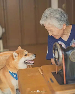 是岸北呐采集到动物们