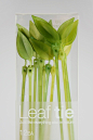 Leaf Tie: this is so awesome! Cute leaves to tie anything and everything around home + more.
