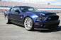 Ford / Mustang Shelby GT500 Super Snake (2010)