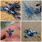 Glaucus atlanticus -- blue sea slug