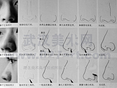 玩火尿炕采集到§R教学 —— 耳、鼻、口