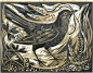 Printmaking and Posters / Mark Hearld's 'Ballindalloch Blackbird' linocut for St. Jude's