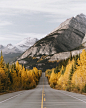 Road to jasper.  by Tanner Wendell Stewart on 500px