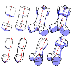 OOOO_O采集到学习_人体/结构/ 透视