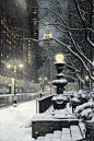 雪夜，纽约市
