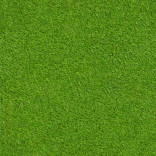 绿色 草地