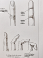 【艺用人体解剖——胳膊与手部结构】 源：《CLASSIC HUMAN ANATOMY》。 转需#SONIA手绘时装画教程##SONIA好书推荐# ​​​​