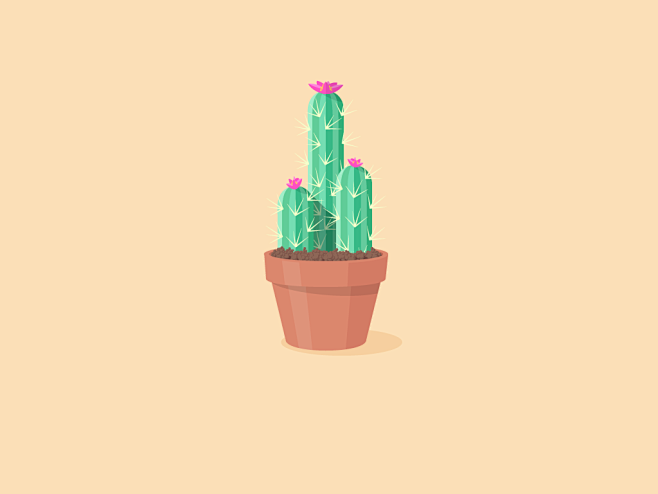 Cactus 仙人掌  #图标# #UI...