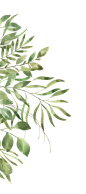 [美工云]繁茂的水彩树叶元素相框纹理素材包_免抠PNG：