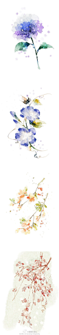 花的练习-清茗_原创,插画,水彩,每日一涂,小清新,花卉,植物_涂鸦王国插画