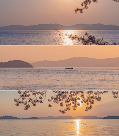 霖筱采集到景