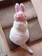 日本网友urabanashi813整理东西时发现了一个自己小时候戴过的兔子帽，于是给自己家的喵星人戴上了，好适合瞬间画风更萌了！
