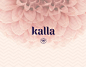 Kalla : Kalla, the newest member to the Provide Commerce brand line, made their debut to the online market place in late 2013. Kalla engaged us as the lead design agency for their launch campaign and asset execution as well as to help them evolve their eC