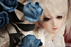 Ringdoll戒之人形采集到Ringdoll-Julia私养