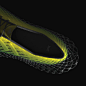 Red Dot Design Award for Design Concepts : Grit – Resistance Training Shoes