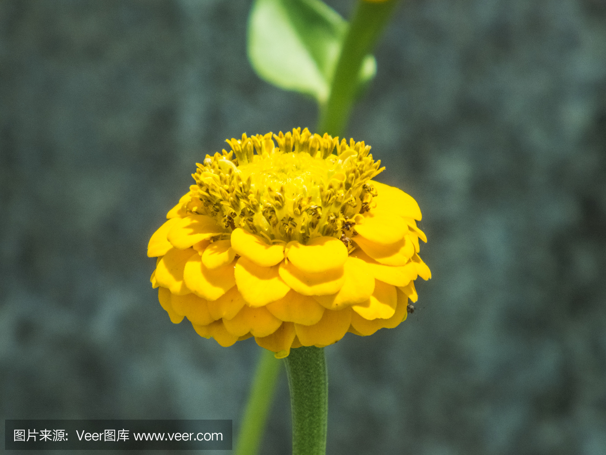 ce56db6a664a5762856b8d54e0b51a57f5cf0f479519c-3kq1OV