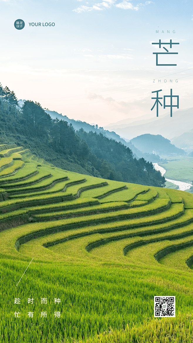 芒种节气祝福排版手机海报