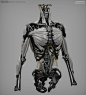 GITS_Torso_InternalStructure_09-13-2014_06.jpg (1000×1100)