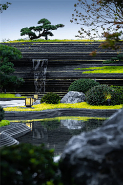 ＇Ｌ﹌采集到意向图-庭院