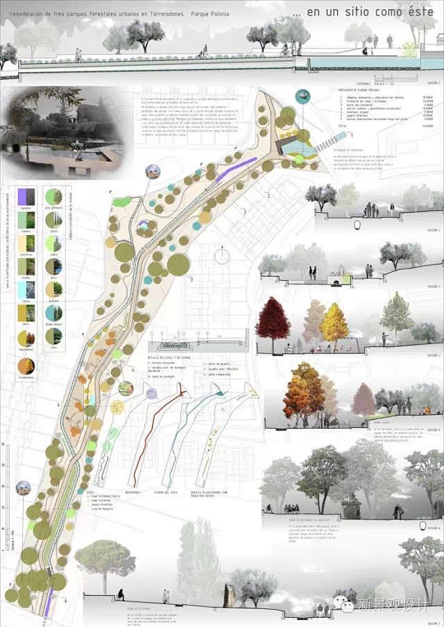 城市狭长公园绿地景观设计分析图