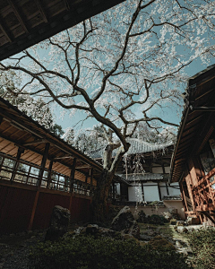 小葵花欧巴采集到环境