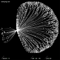 Colorpong.com - Dataism - vector bundle : Colorpong.com – Dataism is a stock vector graphic bundle featuring data flow and grid explorations.