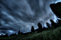 Silhouette Photo of Trees Under Gray Clouds · Free Stock Photo