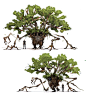 Treant : x50px x50pxx50px The Treant (トレント, Torento?), also know as the Wood Eyes, the Trent, or the Torrent, is a recurring enemy in the Final Fantasy series; having appeared in Final Fantasy IV for the first time. They often resemble trees in their appe