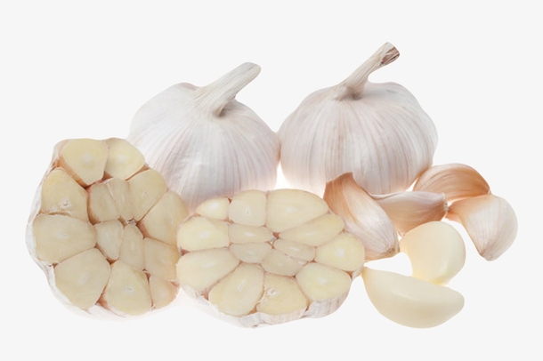 cec0b50f569a08ce99b3911242b5d0685144474e1f60c-3Dw0if