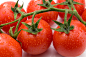 番茄 西红柿 圣女果 (4)的免费照片