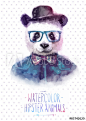 Vector illustration of panda portrait in sunglasses and pullover