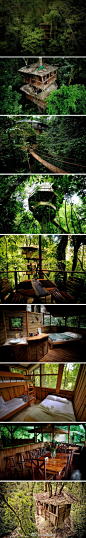一对美国夫妇耗费5年时间，在位于南美国家哥斯达黎加的热带雨林打造大型树屋村落。树屋里有常住居民，也招待游客，就像是一个远离城市喧嚣的桃源乡，它的名字是 Finca Bellavista。