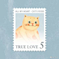 #田边汉设计直播室# 你好大海作品 - TRUE LOVE猫粮品牌 - 品牌设计中…… ​