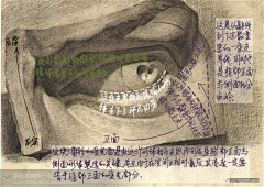 紫小鸢采集到人-眼睛