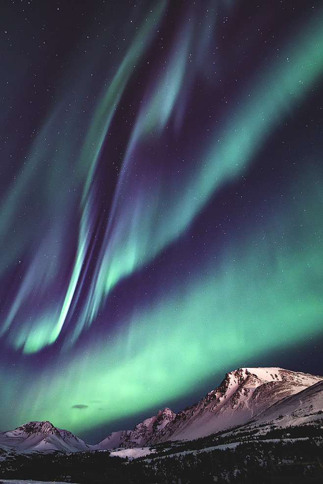 elvenlake:

Aurora R...