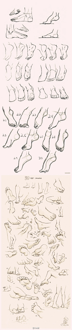 花谣°采集到参照