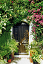 Plants surrounding the entrance of a house, St Paul de Vence, Provence, French Riviera, France