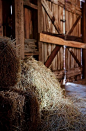 .Barn doors, bring back lots of great memories from my grandma's farm.: 