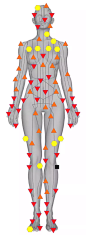 经络是运行气血、联系脏腑和体表及全身各部...@360人体健康云卫士采集到云卫士人体经络感知实验模型(296图)_花瓣教育