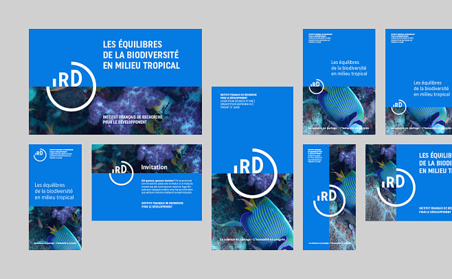 IRD - Brand design :...