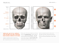 gusztav-velicsek-004-landmarks-and-proportions-of-the-skull