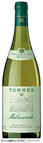 Milmanda托雷斯白葡萄酒绿色酒瓶