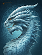 Ice Dragon : Card art for Draco Magi Game. Photoshop CS4Cintiq 12WX(Approx. 10 hours)