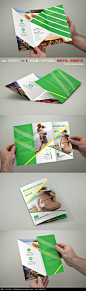 绿色旅游三折页设计AI素材下载_折页设计图片