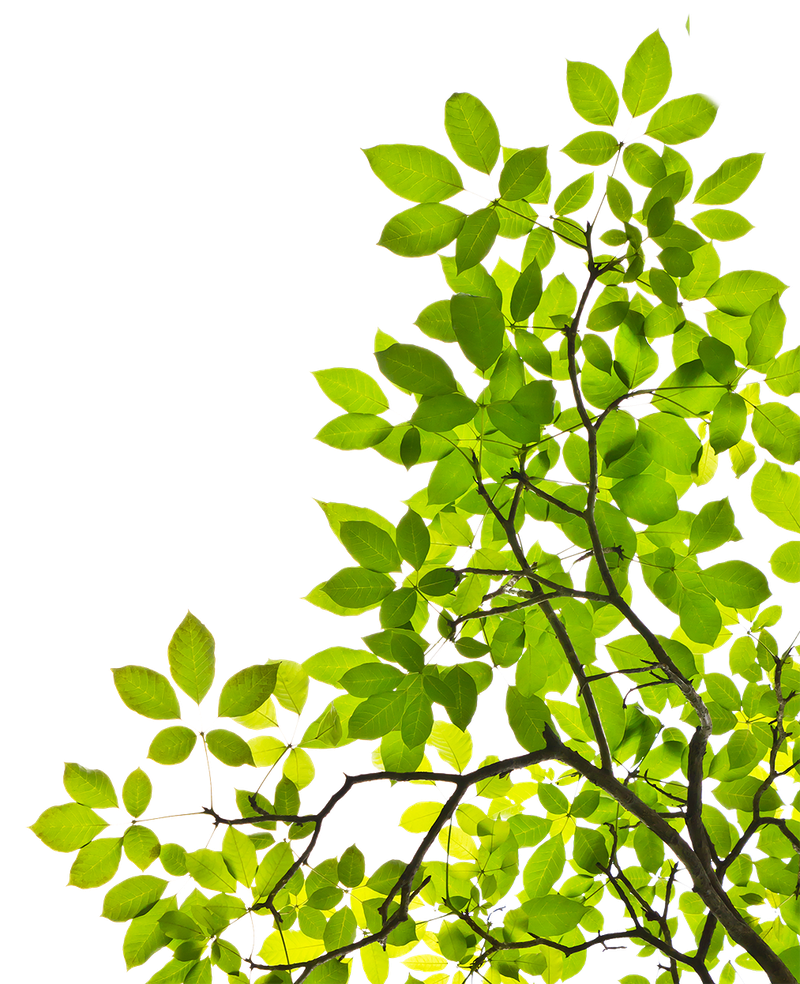 cf85ae9a4787f15f9a4a707a861c0dae95bfc5ebf6c36-SFlhlo