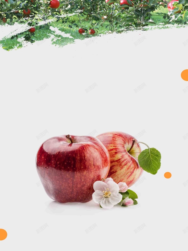 cf86f9e66214162dafd1ad3f598d73ce8e64f89e288cd-swgKRK