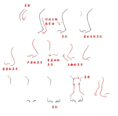 草恒幽尔典采集到肢体绘画